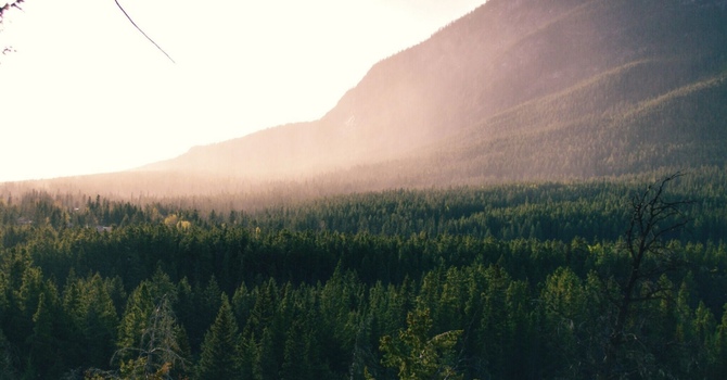 Cardiovascular Health